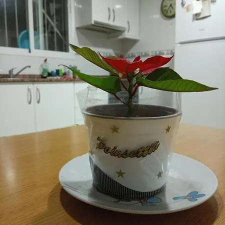 Prive Homestay
